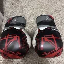 Brave Youth Boxing Gloves