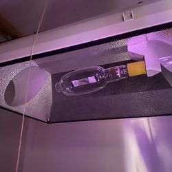 Sun System Low Profile Hood And Hortilix blue bulb