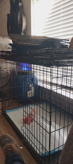 Doge crate