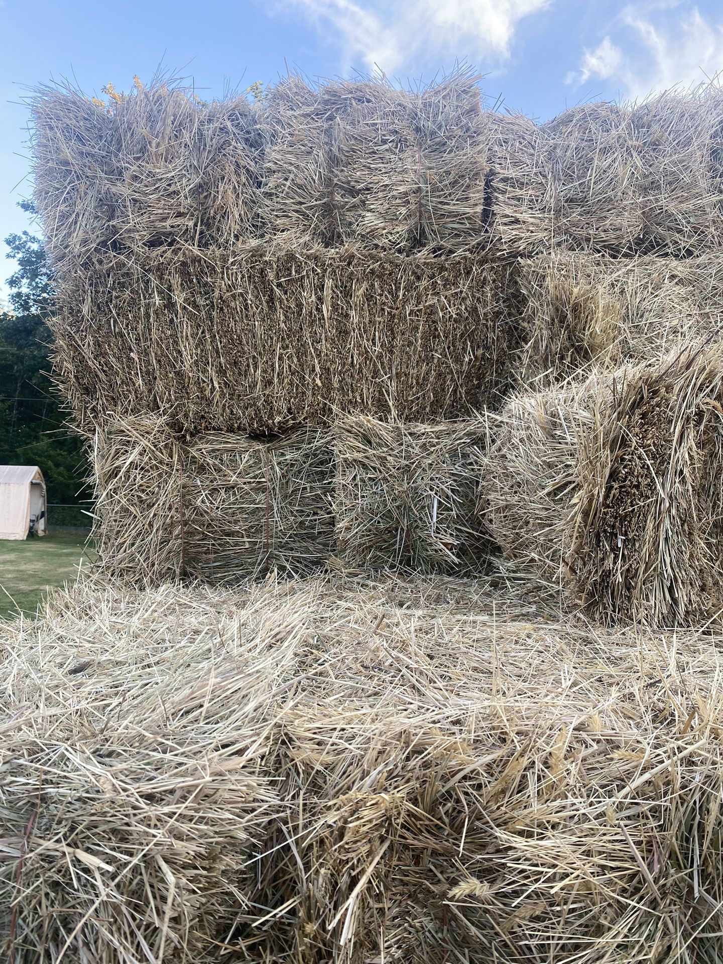 2024 Hay