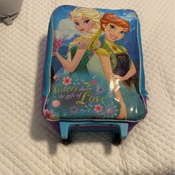 Frozen Sleeping Bag And Suitcase 