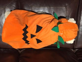 XL Pumpkin Dog Costume NEVER WORN