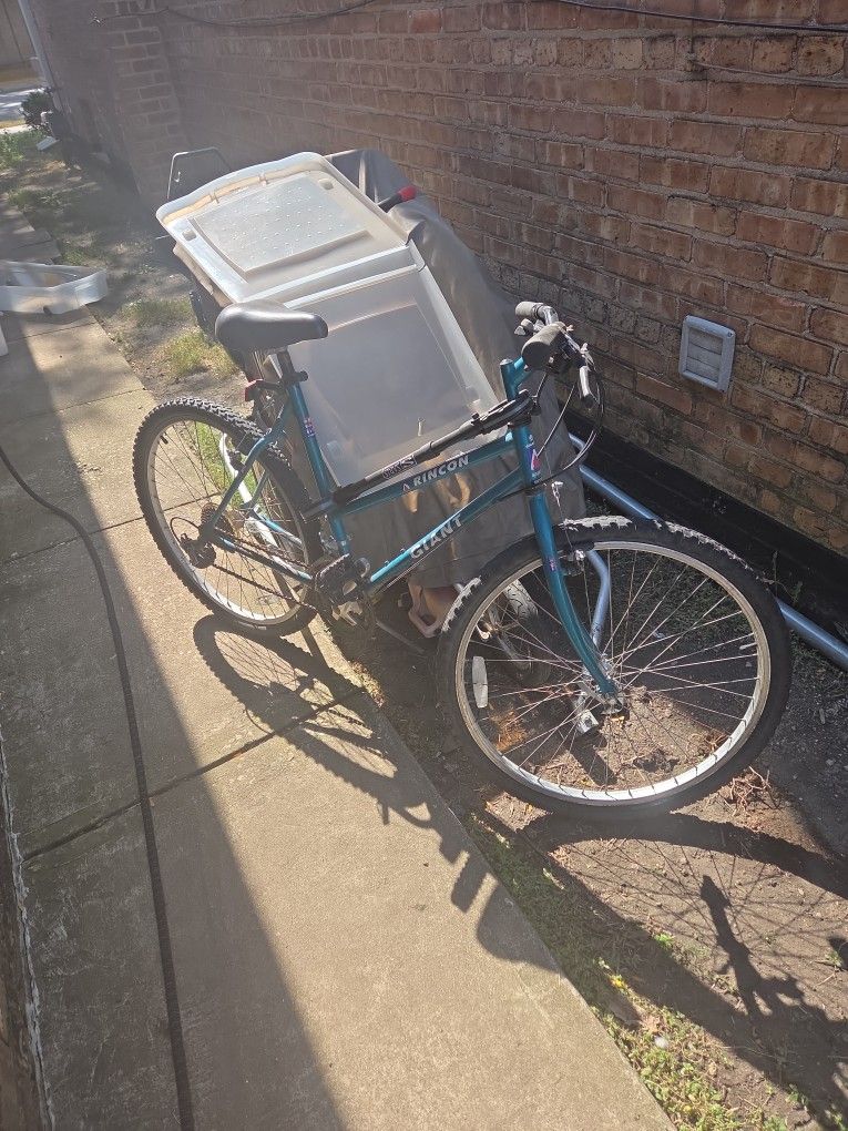 Giant 10 Speed Bike