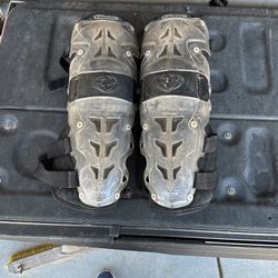 Adult Riding Knee Pads