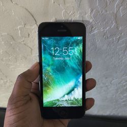iPhone 5 (Unlocked )