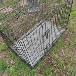 Large dog crate with divider cash only