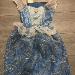 Cinderella costume