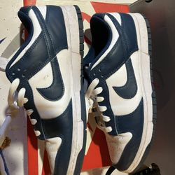 Gently Used Nike Dunks 