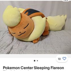 stuffed animal plush