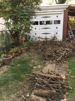 ****BACK YARD CLEANUPS****