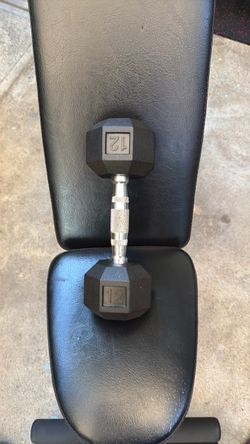 WEIGHTS DUMBBELL 12 Pounds