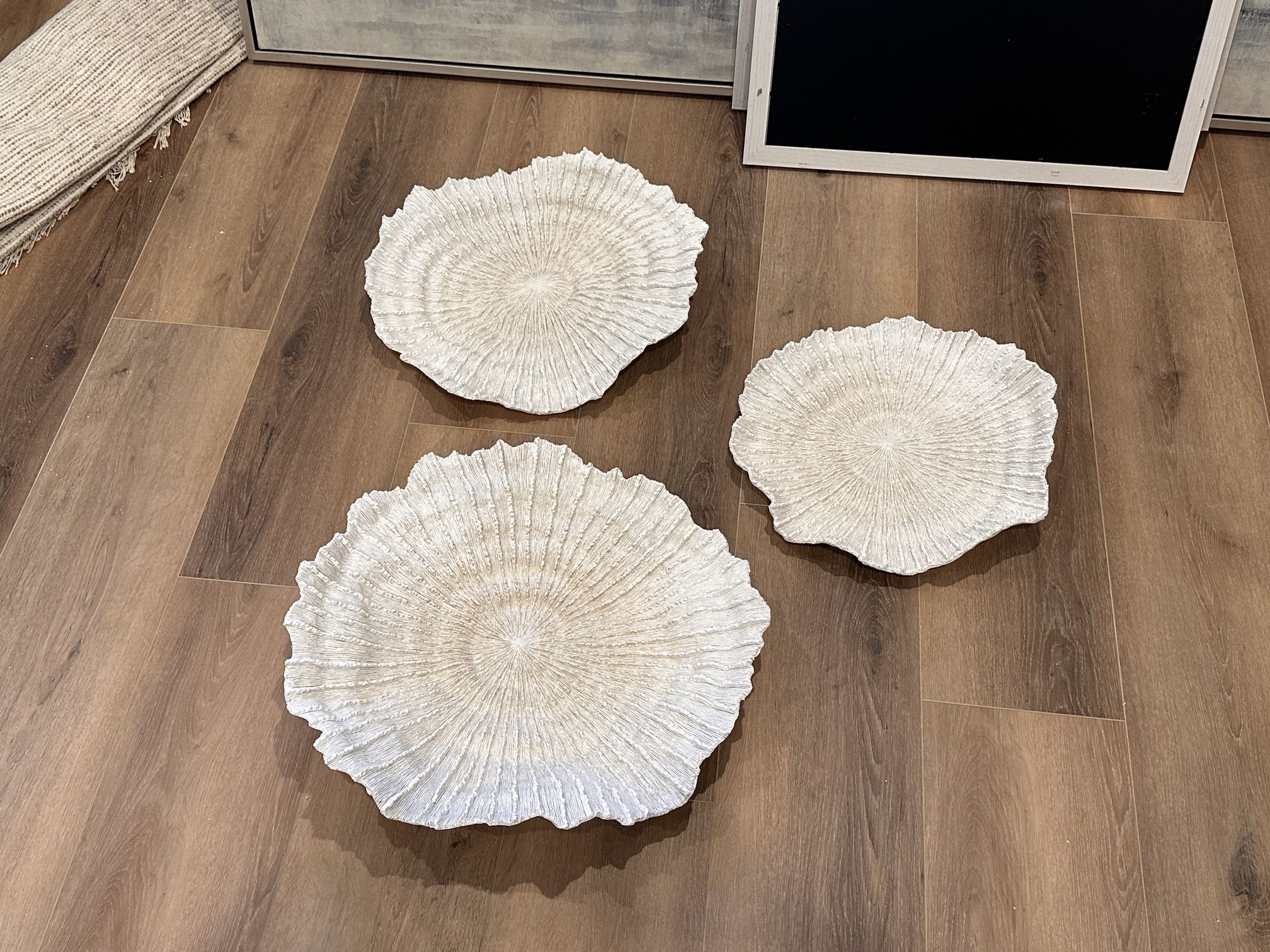 Sea Shell Wall Decor