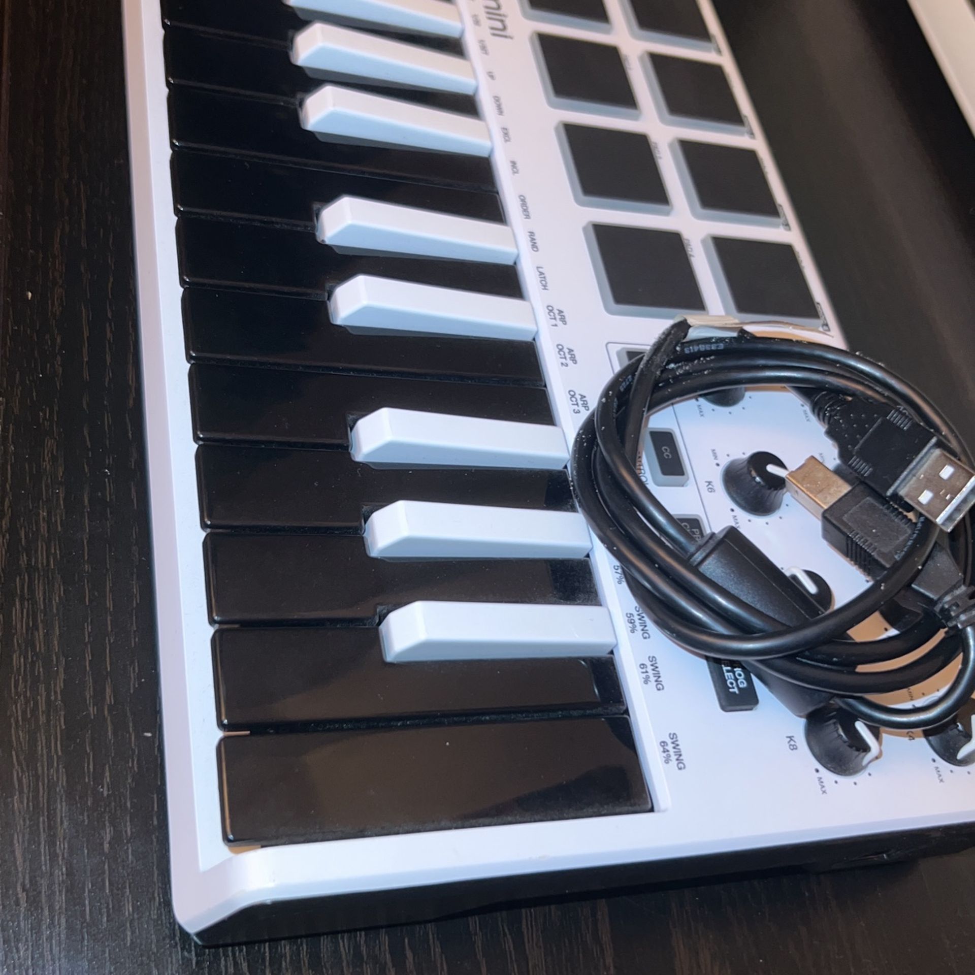 Akai MPK Mini Black And White MIDI