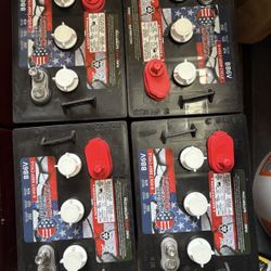 6V Lead Acid Batteries Pure Energy 