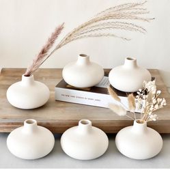 New 6 Piece Mini Vase Set 