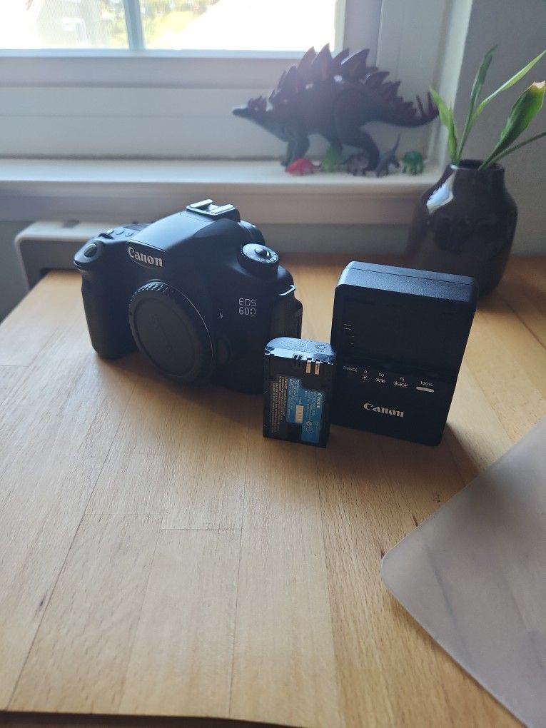 Canon 60D DSLR