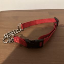Coastal Dog Collar 