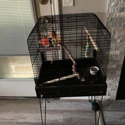 Bird Cage With Accessories