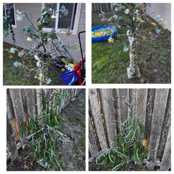 Two Artificial Outdoor Branch Trees  See Description 