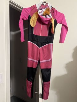 Paw Patrol Sky Costume