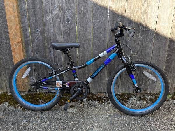 Guardian 20 Inch Kids Bike - Blue