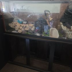 100 Gallon fish tank