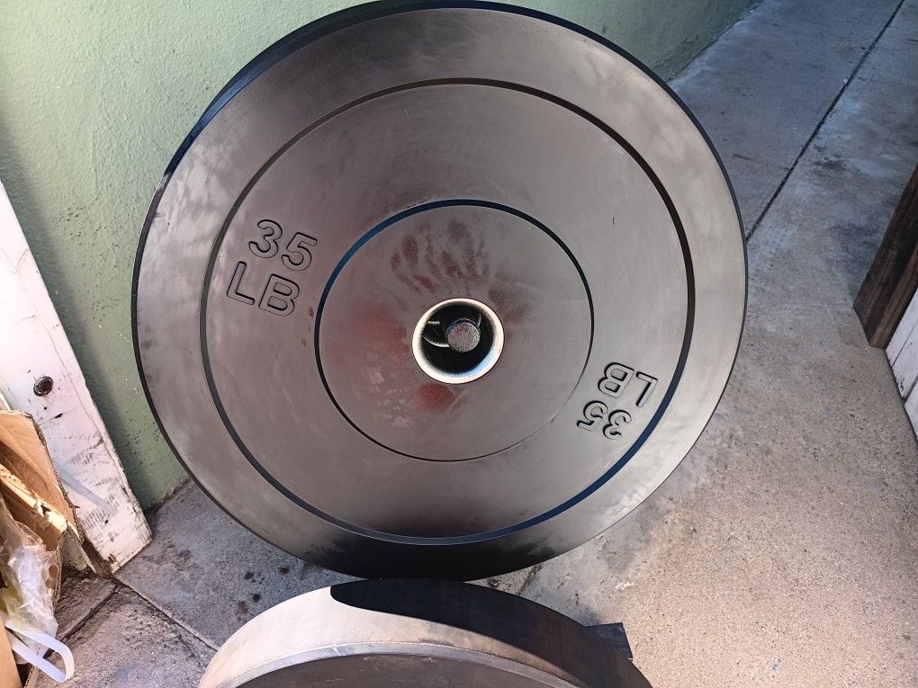 Bumper Weight Plates 