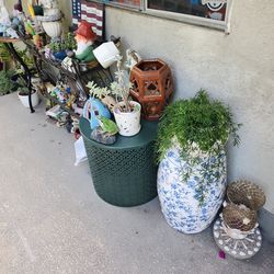 Big plant sale going on right now!!!!