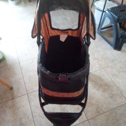 Cat Carriage 