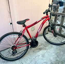 Bikes