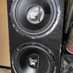 Car Speaker System