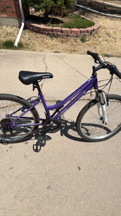 24” Roadmaster Granite Peak