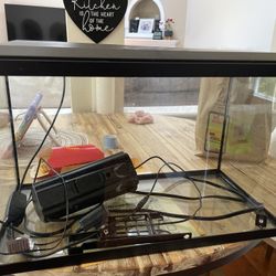 10-12 Gallon Aquarium Tank