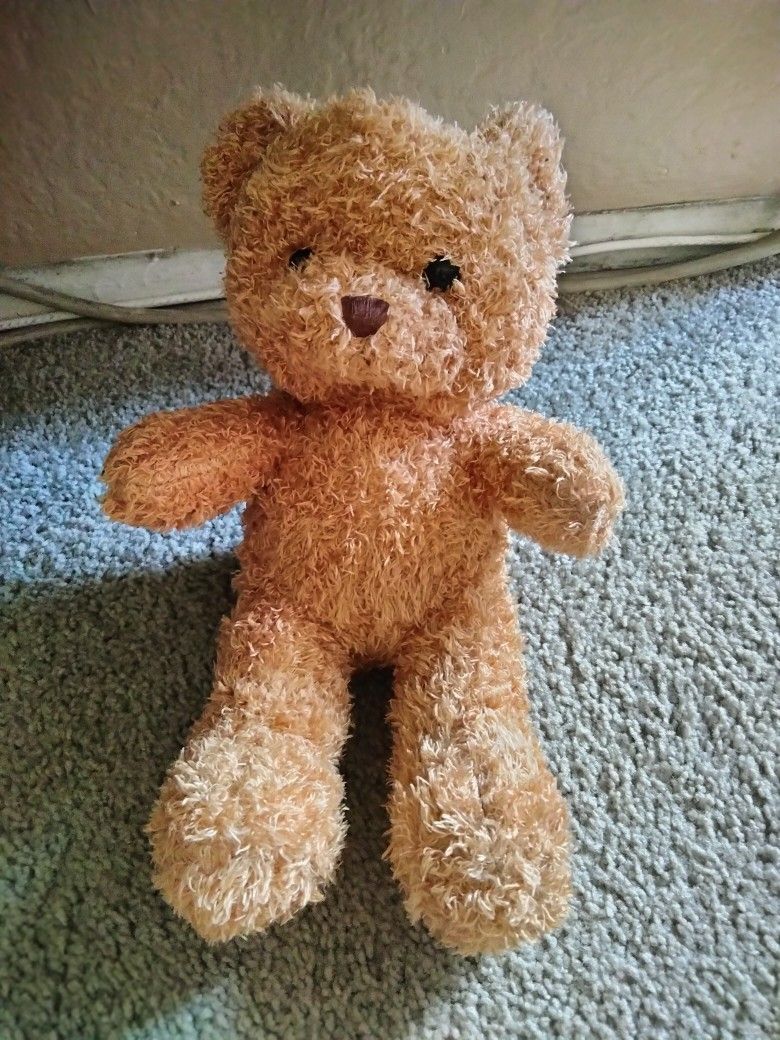 Brown Teddy Bear