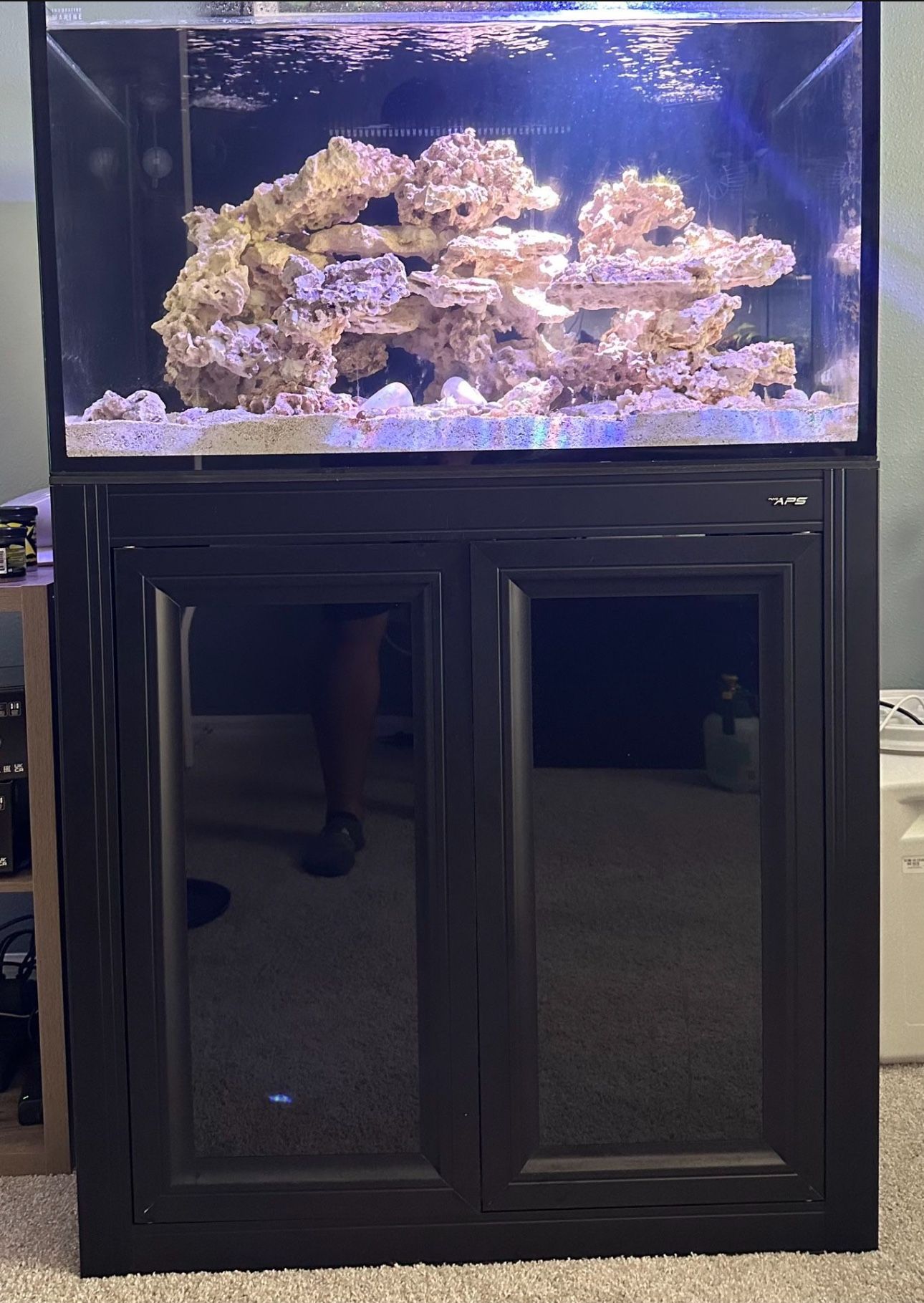 Saltwater Aquarium/ Fish Tank - Innovative Marine EXT 75 Gallon Reef System – Black