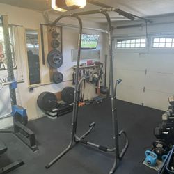 Pull Up/Dip Bar/Push Up Combo