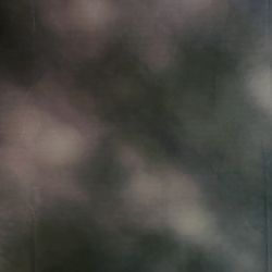 Backdrop Black and Brown 6ft wide x 8 ft tall