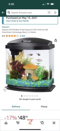 Fish Tank Set Up 