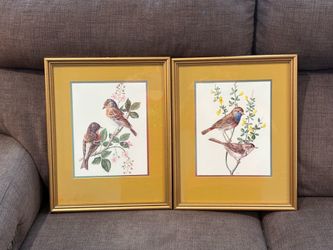 Pre Owned 2 Gold Accent Beautiful Song Birds Double Matted In Gold Frames (AMTR)