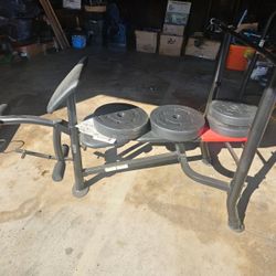 Weight Bench 