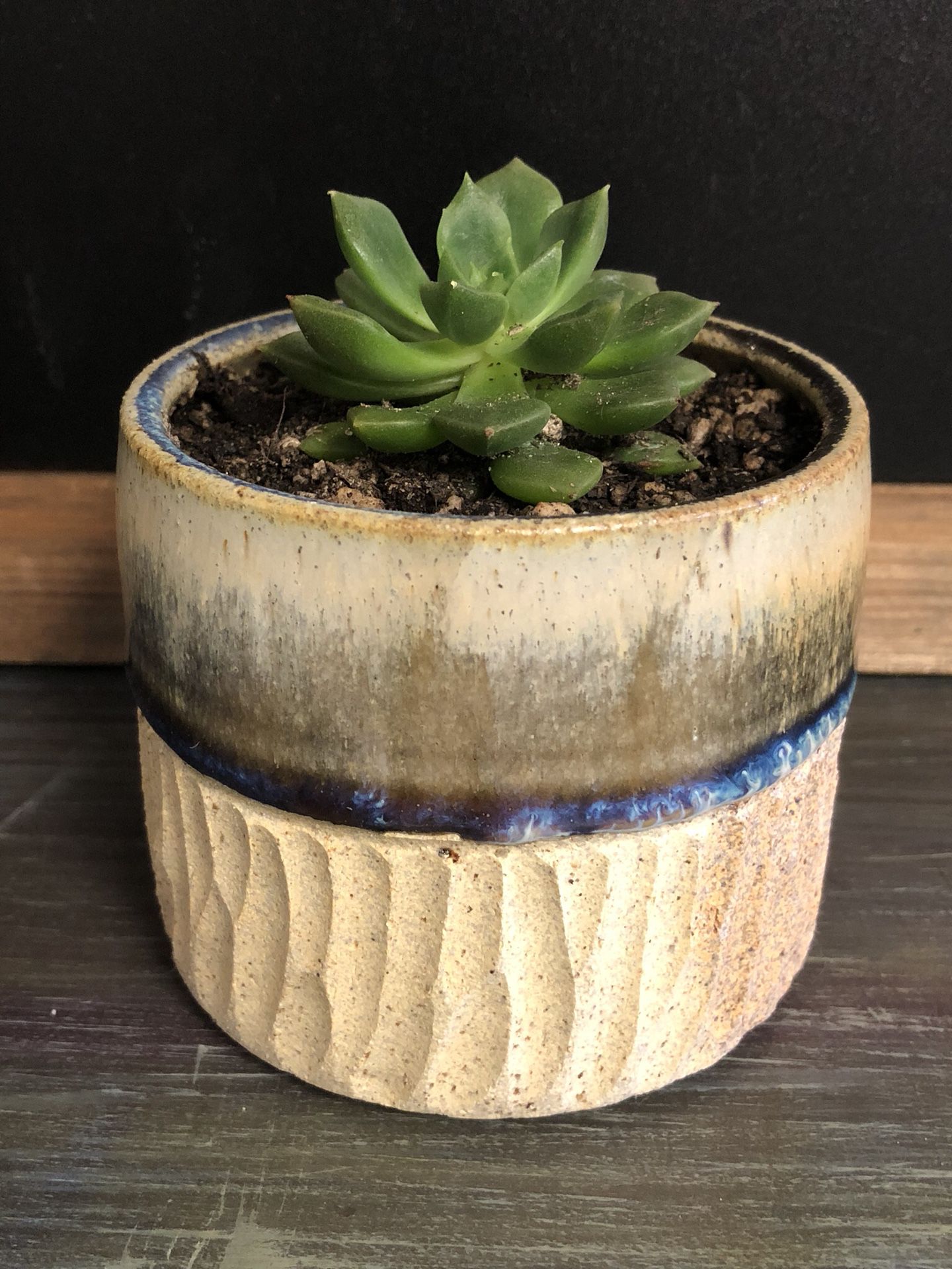 Handmade pot with succulent