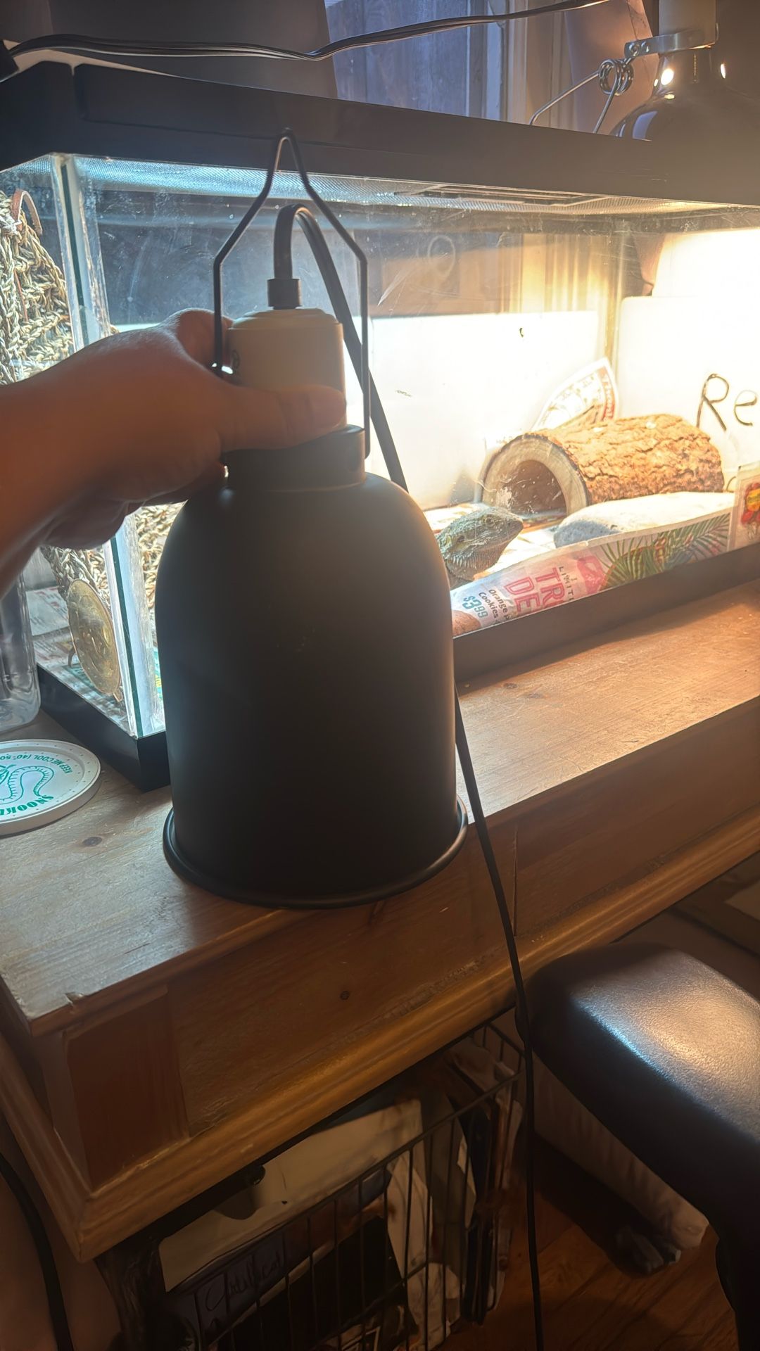Reptile Basking Lamp