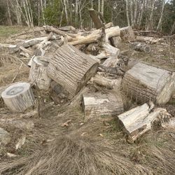 Seasoned Firewood