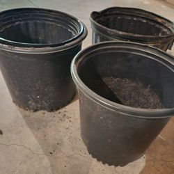 3 Gallon Plant Pot 