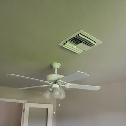Brand New Fan 