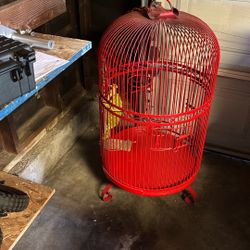 Bird Cage 