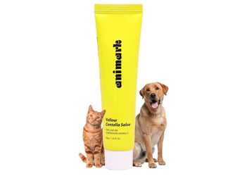 Yellow CENTELLA Salve – Hot Spot & Wound Care Ointment for Dogs, Cats & Small Animals – Lick-Safe, Fast-Acting, Steroid-Free, Natural Healing Balm for