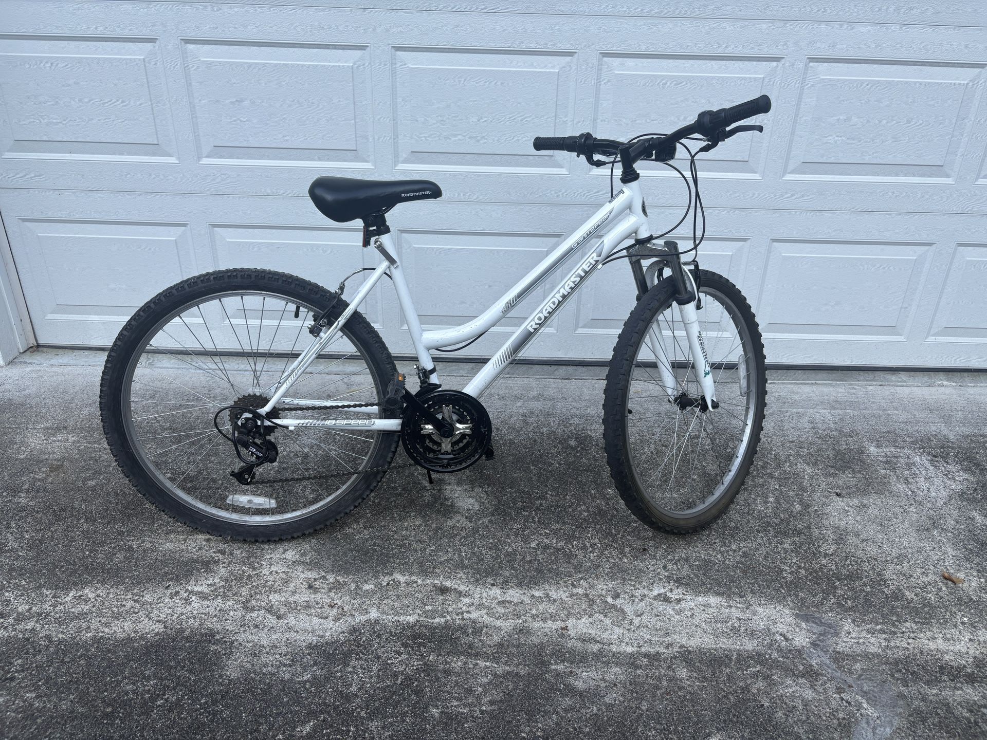 Adult Mountain Bike