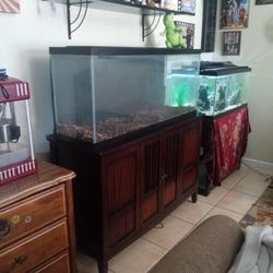 55 Gallon Fish Tank