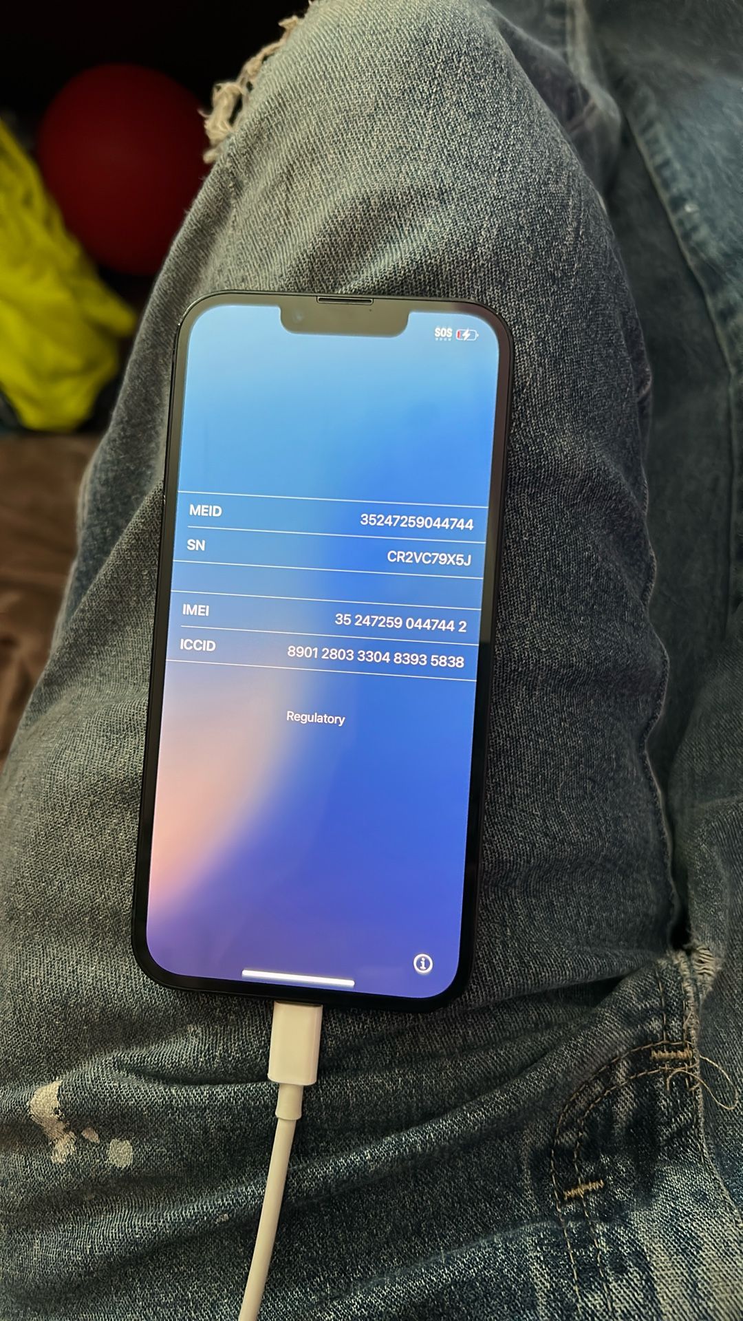 iPhone 13